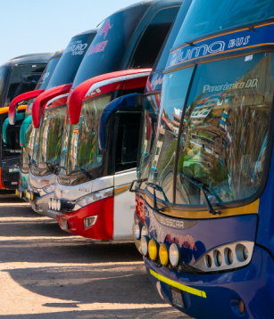 Czechbus se bude konata na Výstavišti v Letňanech