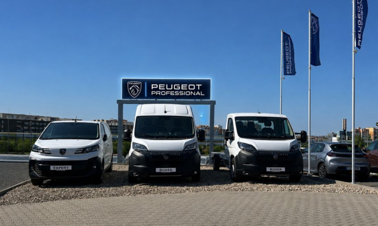 Peugeot Professional